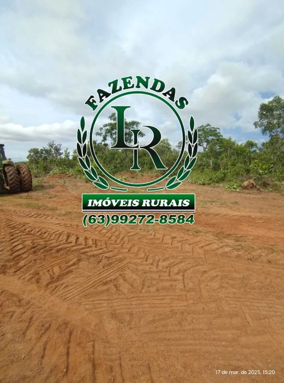 Fazenda de 176 Alqueires, Dupla Aptidão - Foto 3