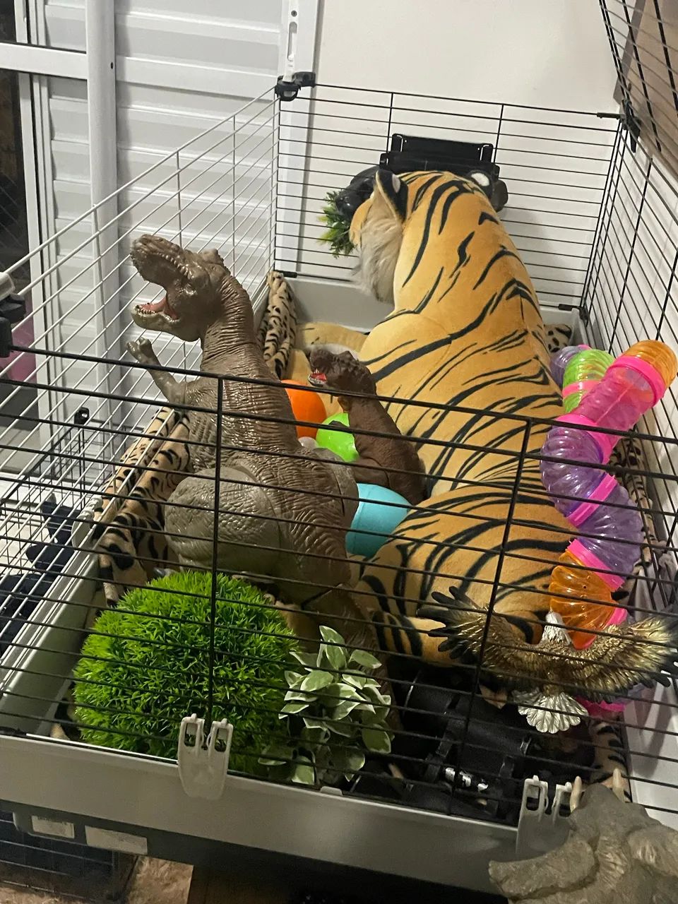 Gaiola Roedor - Foto 5