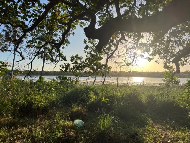 Terreno com Lagoa Maravilhosa - Área com 78.372 m² - Foto 4