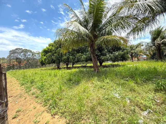 Oportunidade! Vendo Terreno em Campo Verde - Viana com 5.200m² - R$ 1.500.000,00 - Foto 12