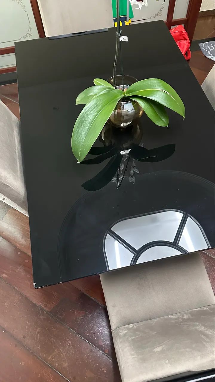 Mesa de jantar com 4 cadeiras estofados NOVOS