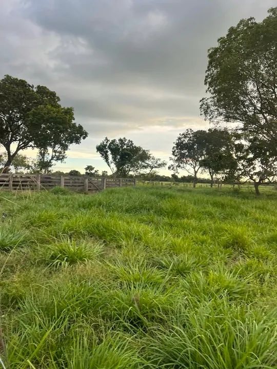 Vendo Fazenda 34.5 alqueires aceito imóveis em Palmas