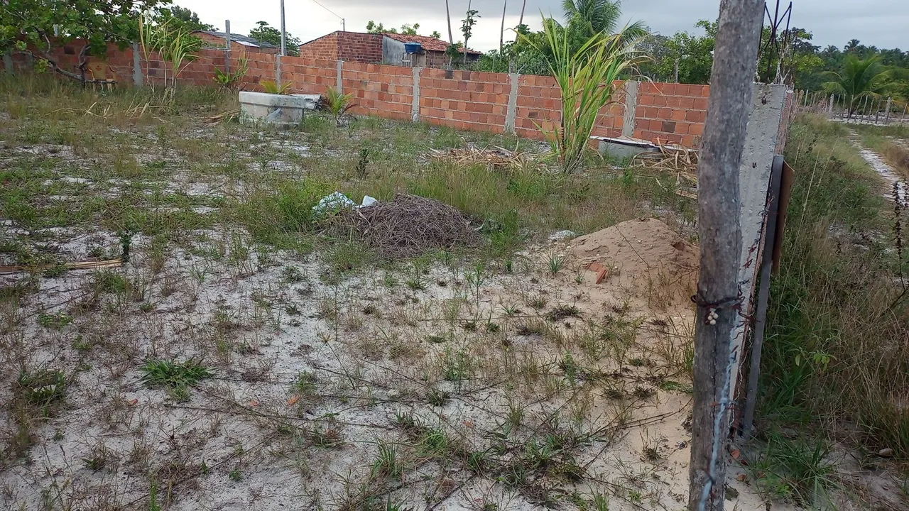 Terreno