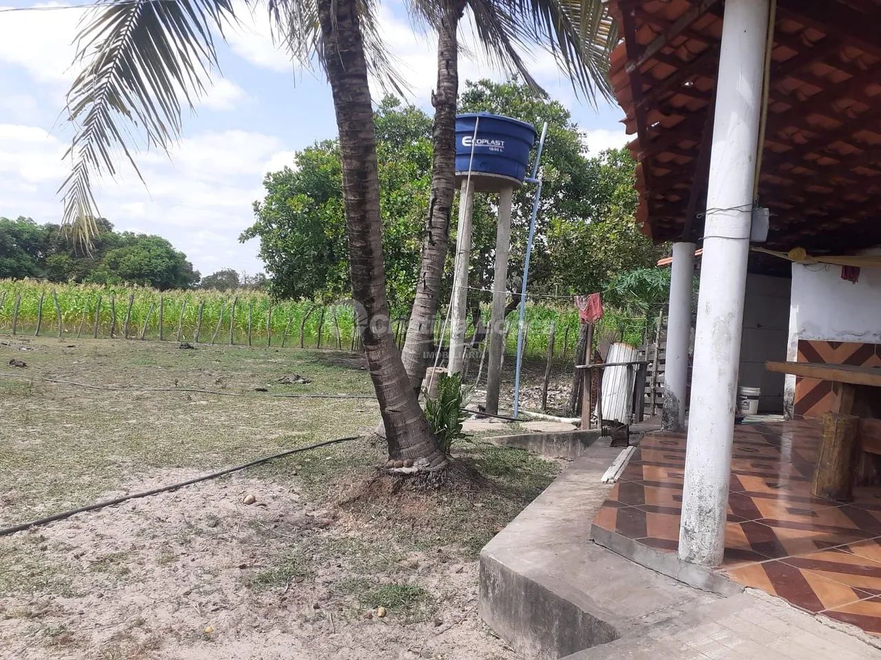 Sítio à venda, zona rural, José de Freitas, PI - Foto 2