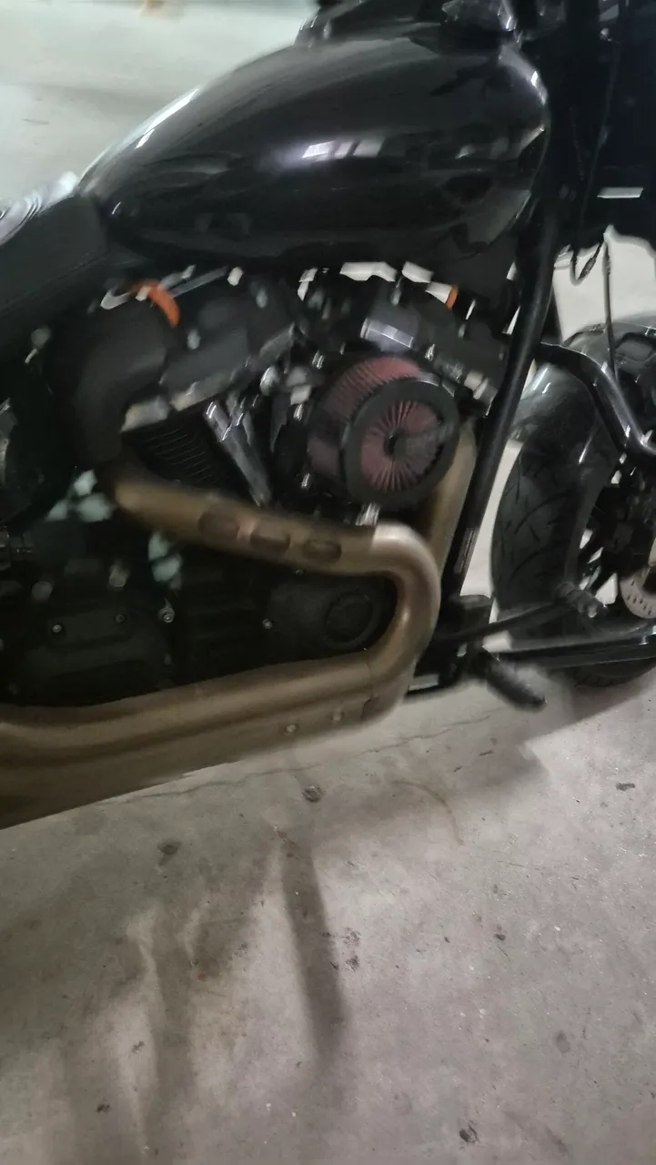 Harley fat bob