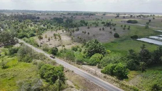 fazenda com 40 hectares em Monte Alegre - Foto 5