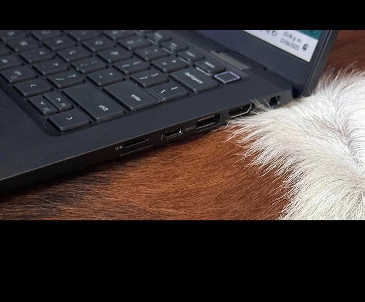 DELL LATITUDE 7420 10unidades disponivel - Foto 4