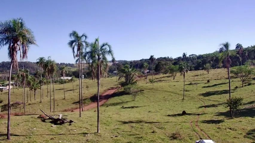 Vende-se Área rural em Bonfinópolis - Foto 4