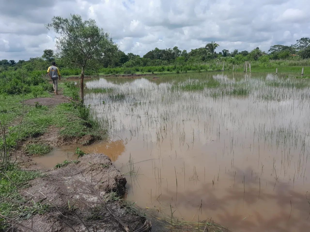 Única oportunidade de chácara no Rio dos bois Tão perto de Goiânia - Foto 5