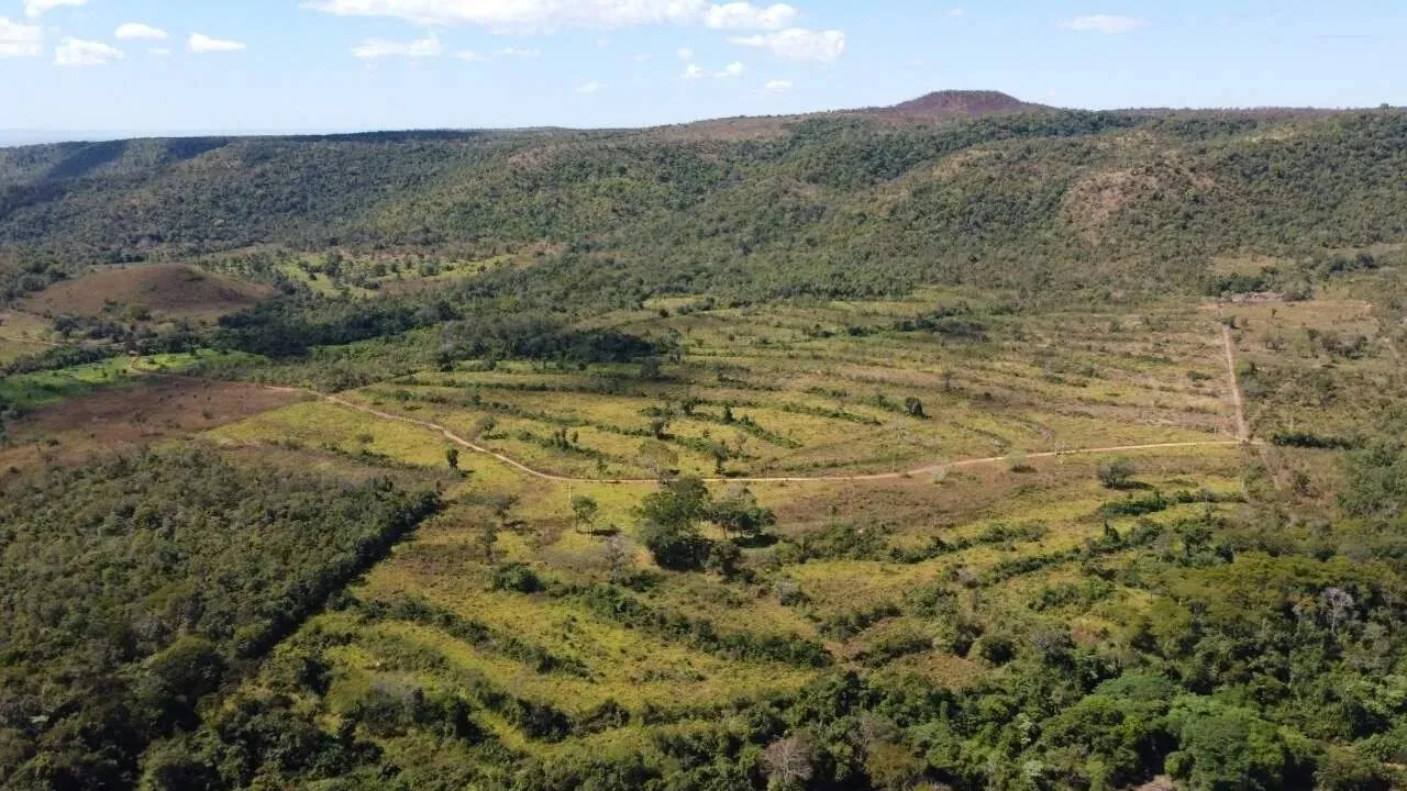 Fazenda - Porto Nacional