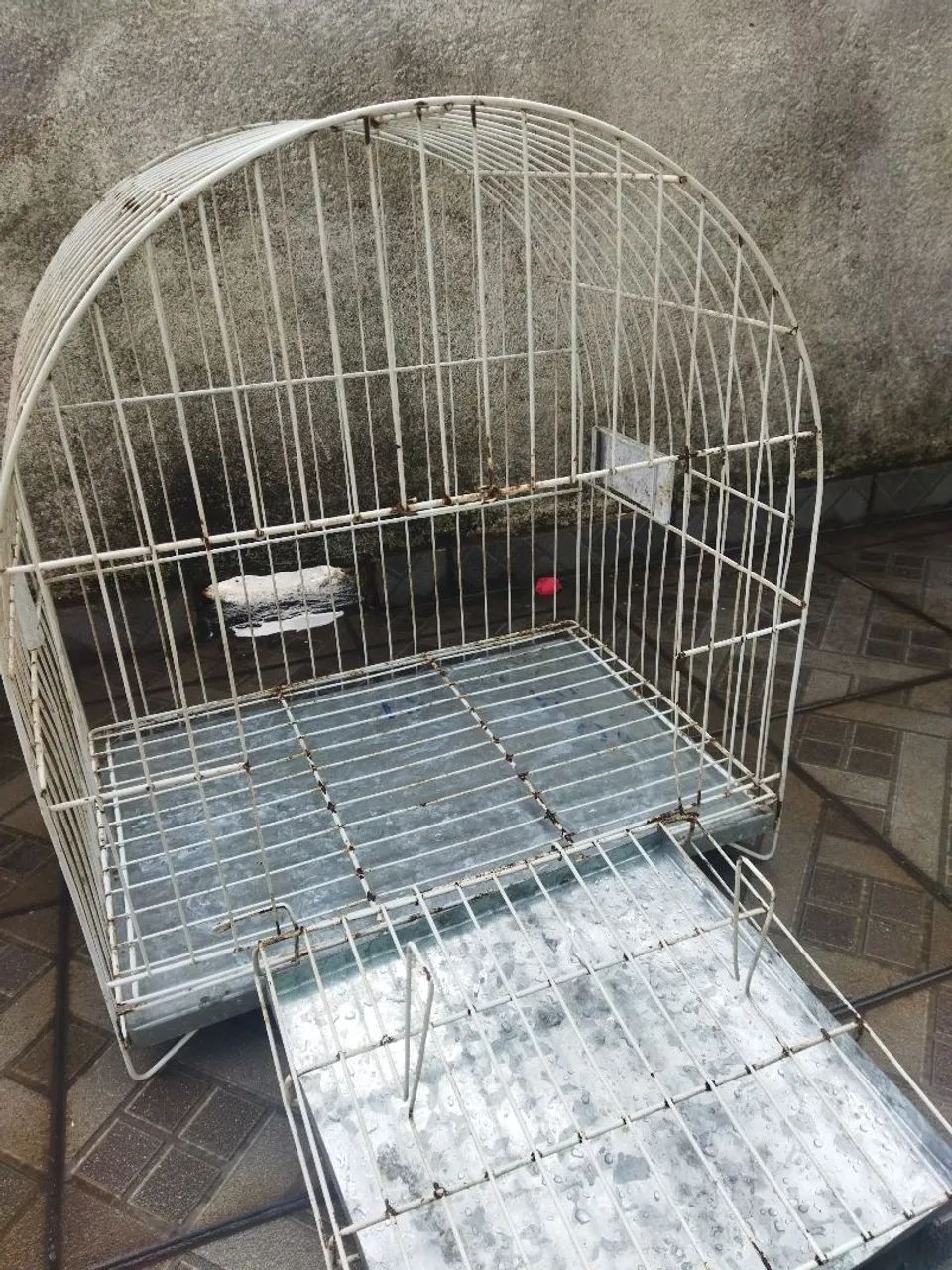 Gaiola papagaio  - Foto 2