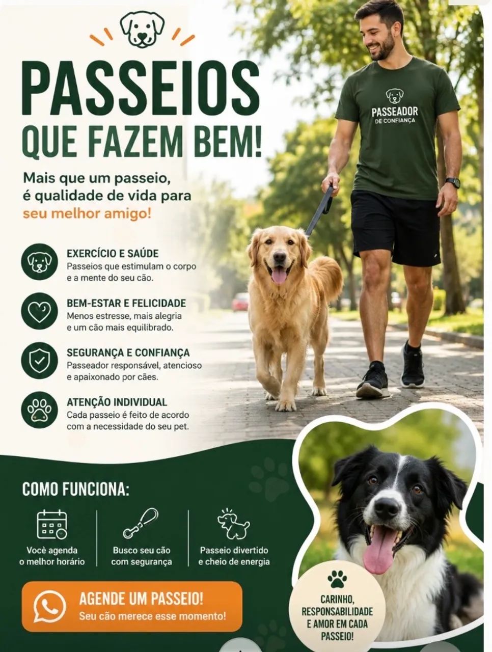 PASSEIOS PROFISSIONAIS DE CÃES 