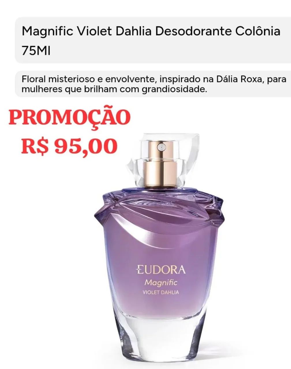 EUDORA DISPONÍVEIS  - Foto 5