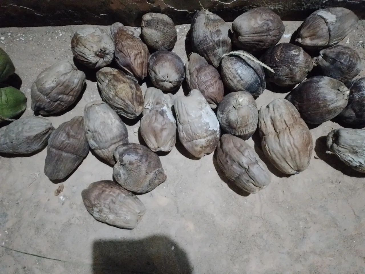  Vende-se cocos secos