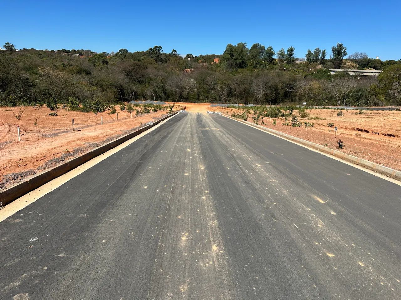 Lotes planos - Foto 4