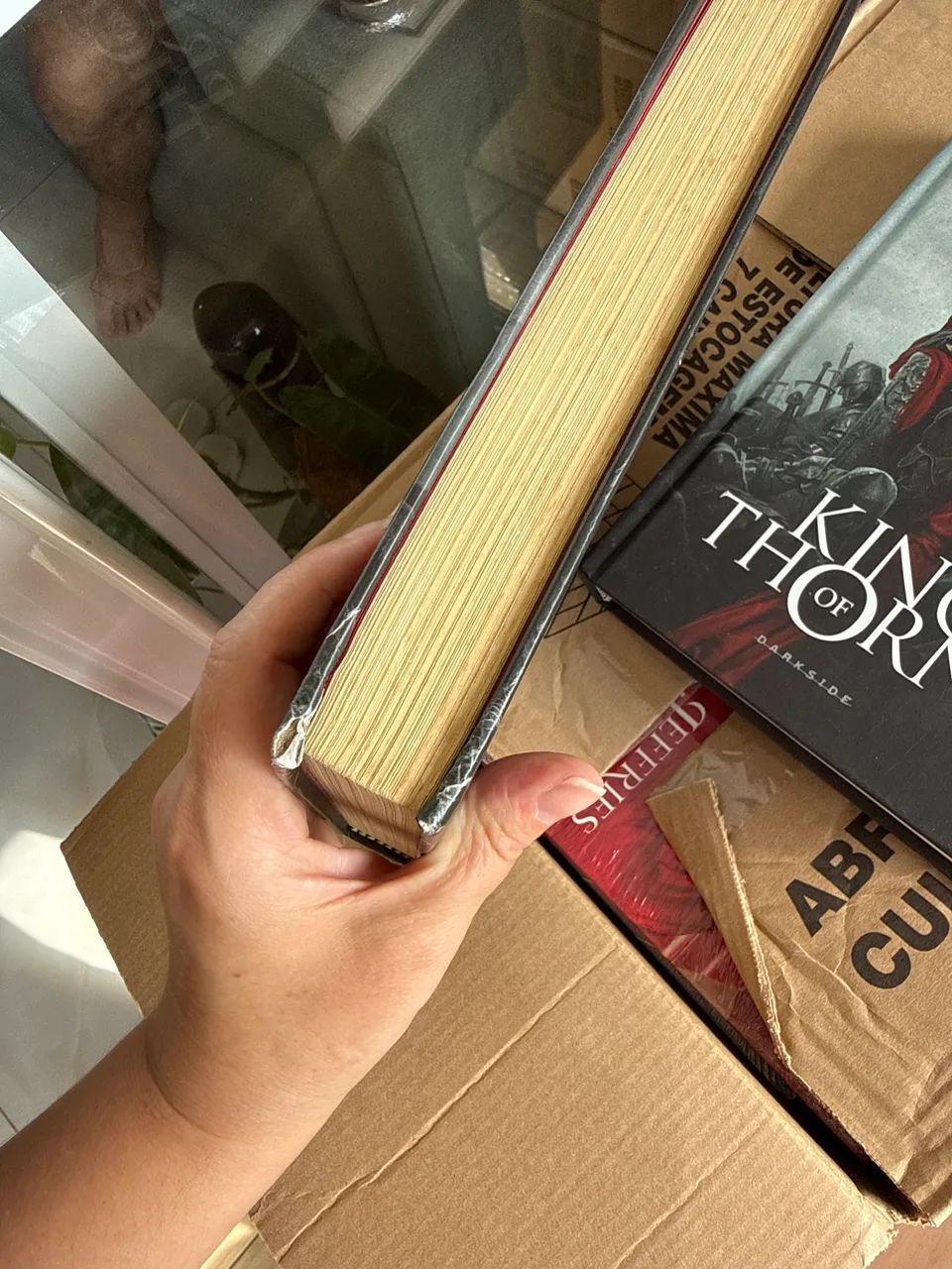 Livro Prince of Thorns - Foto 3