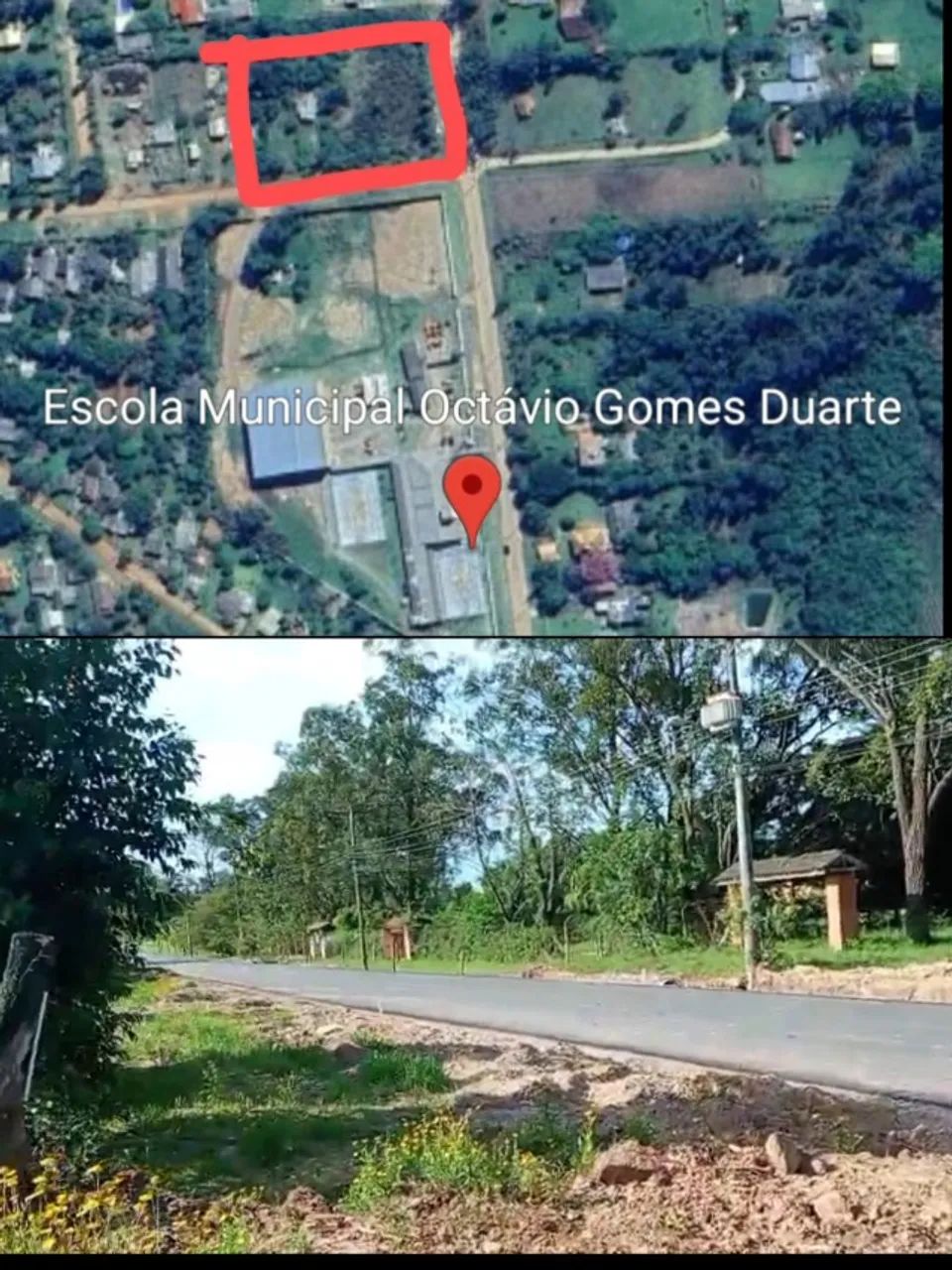 Os melhores  - Foto 4