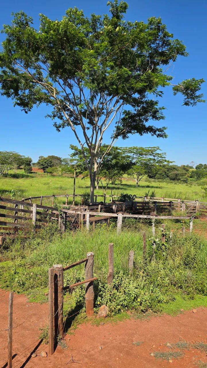 Vendo ou Troco_Lote Assentamento Flórida  - Foto 2