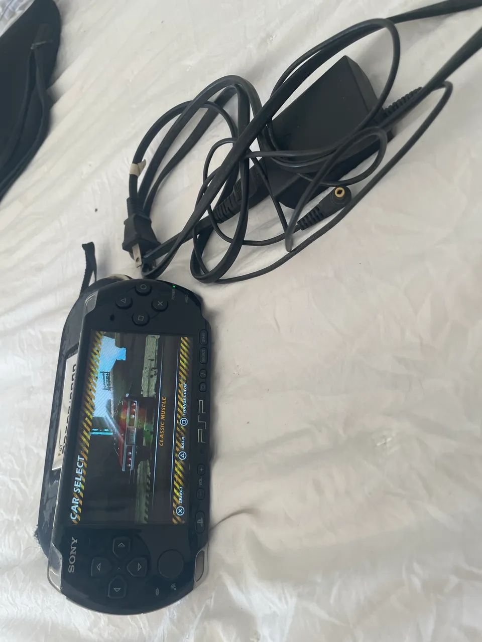 PSP 2010