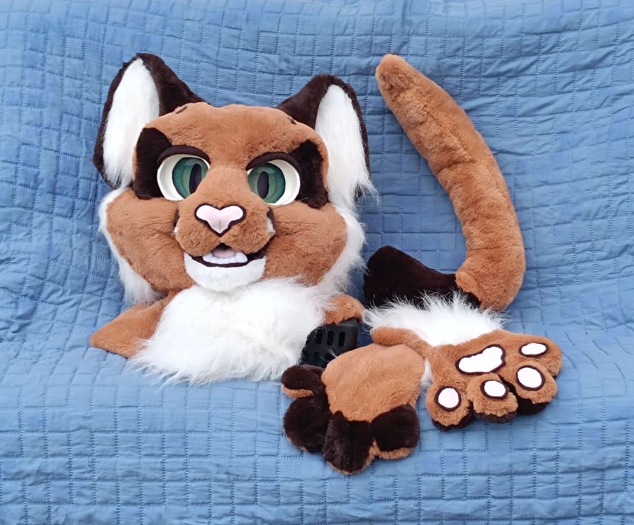 Fursuit nova