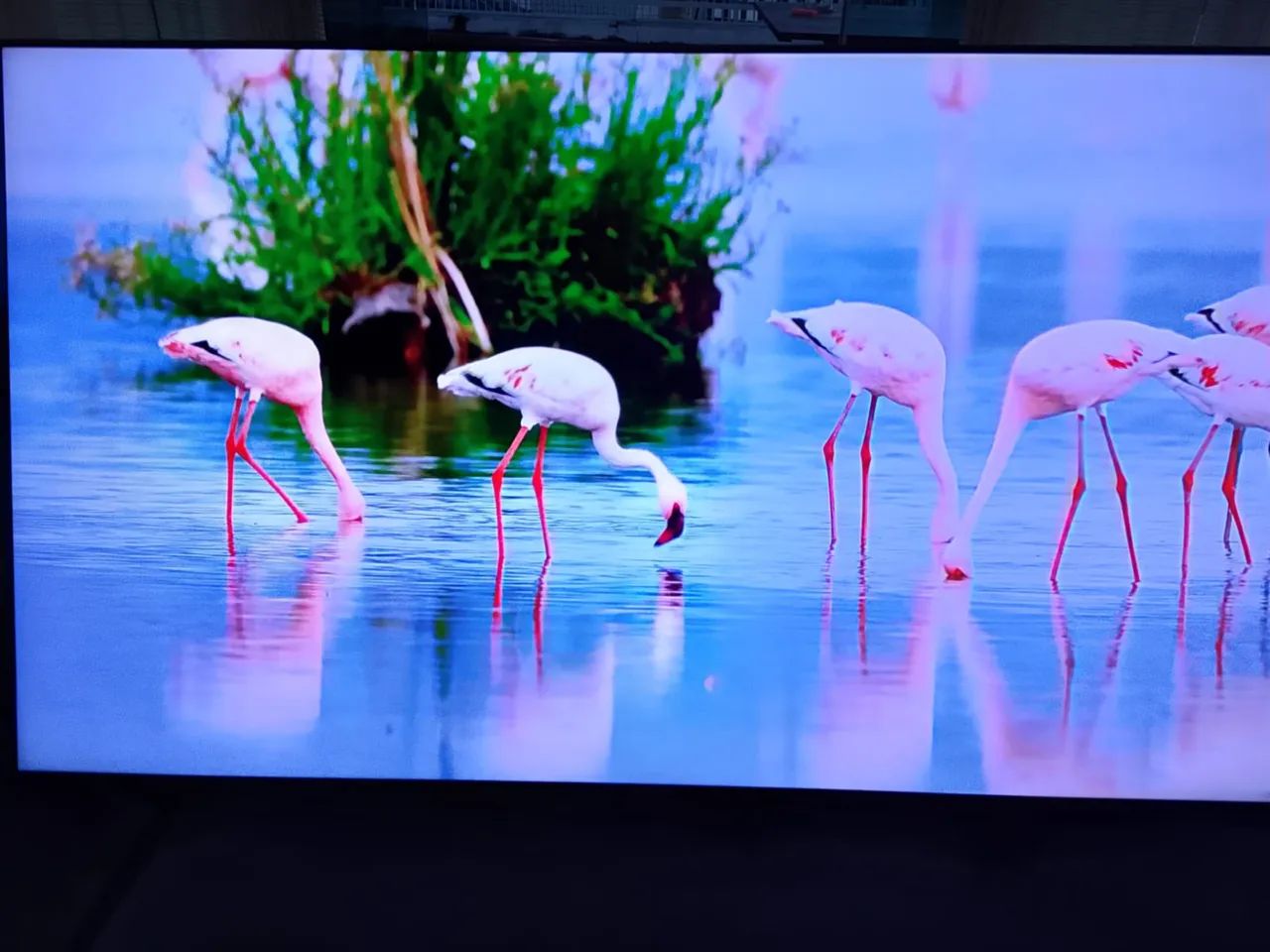 Smart Tv 60 polegadas 