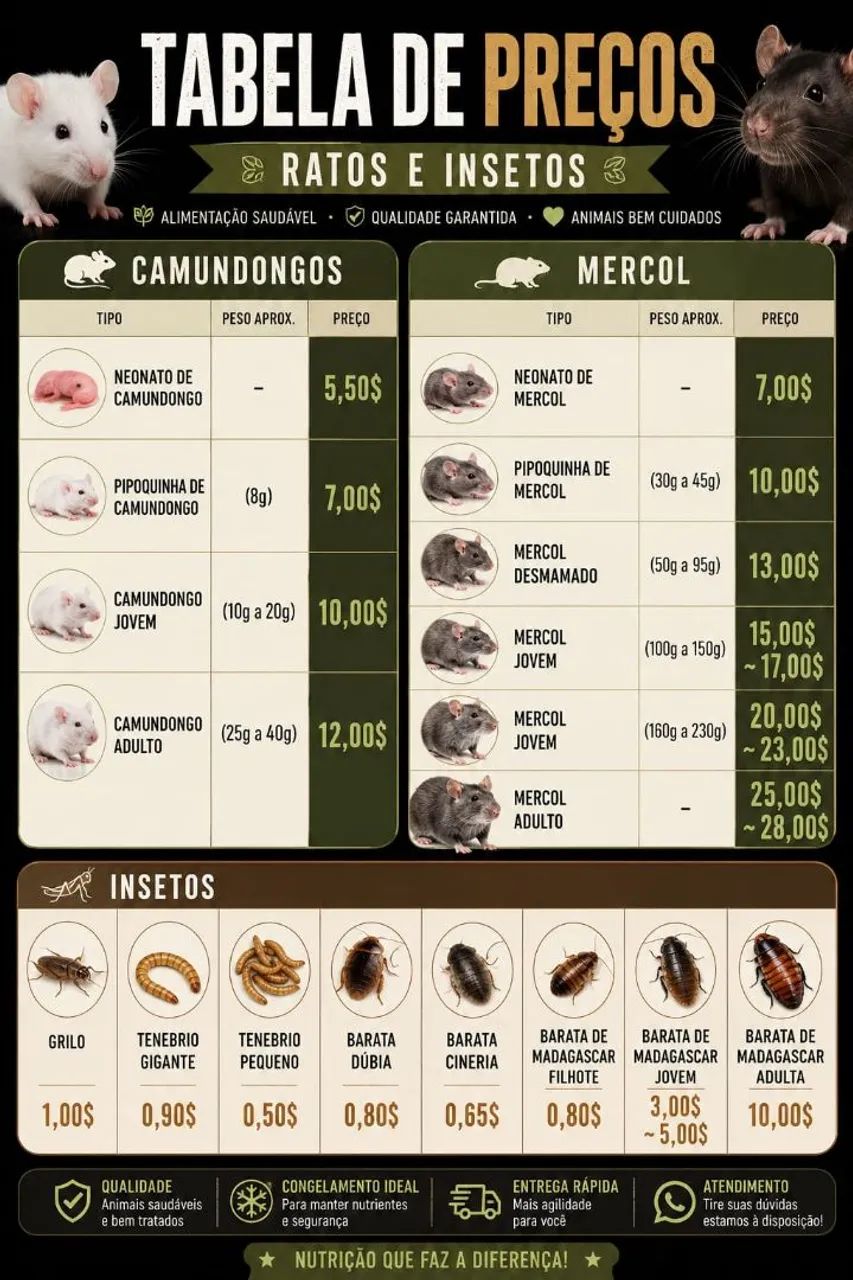 Ratos e insetos  - Foto 3
