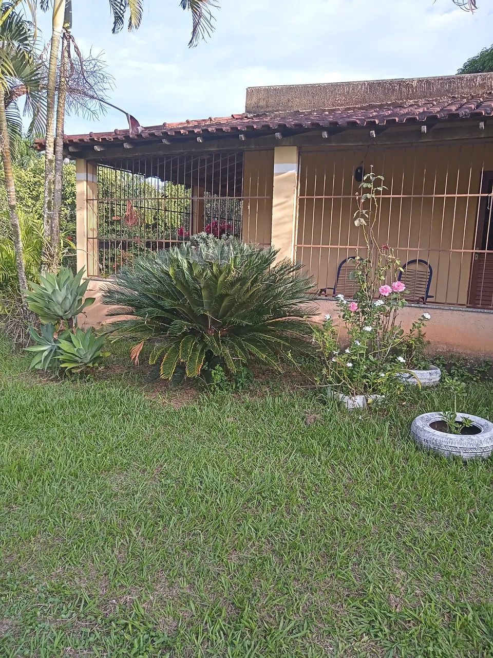 venda - Foto 3