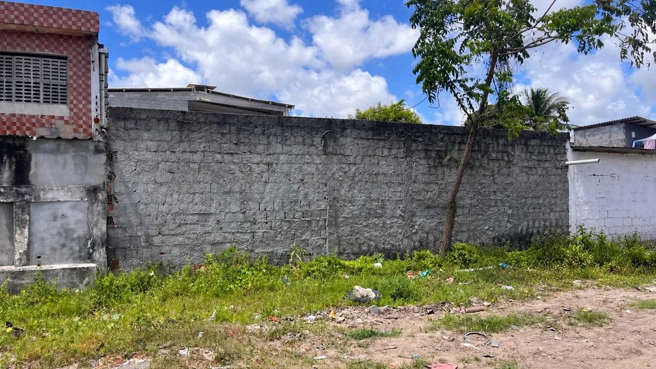 Terreno ou Galpão  - Foto 4