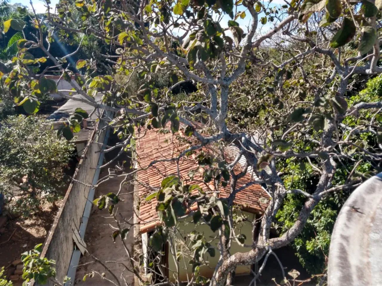 Rural Chácara em Uberlândia - Foto 4