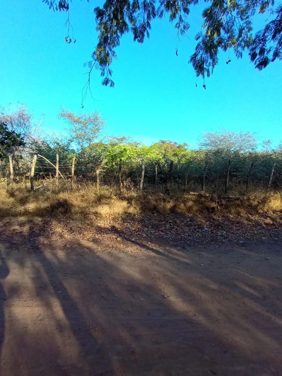 terreno - Foto 3