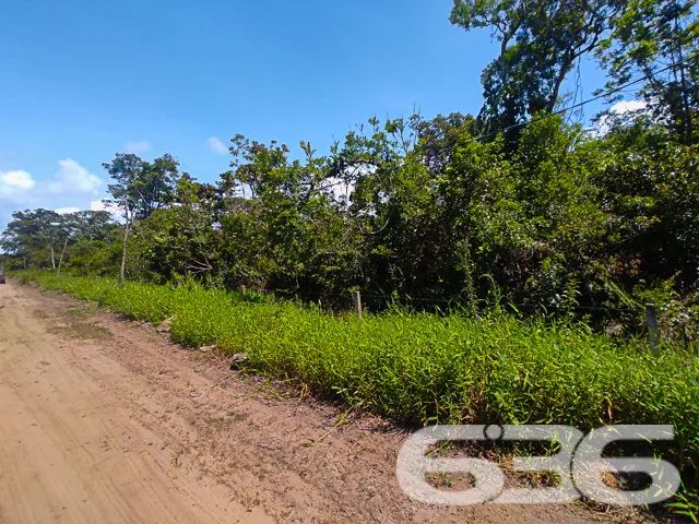 Terreno | São Francisco do Sul | Ervino - Foto 4