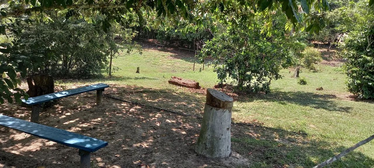 Sítio com igarapé  - Foto 5