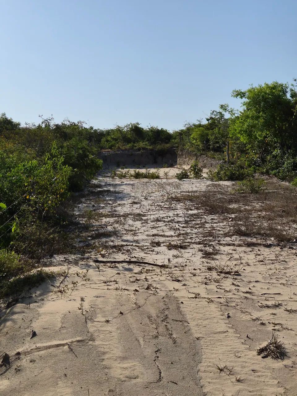 Terreno em Barreirinhas - Foto 3