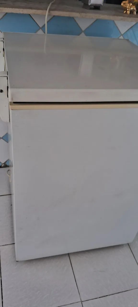 Frezer Eletrolux H162 - Foto 4