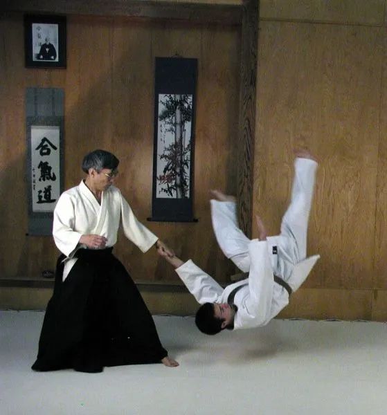 CURSO DE AIKIDO FAIXA PRETA C/ CERTIFICADO - Foto 6