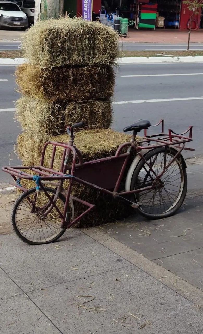 Bicicleta cargueira