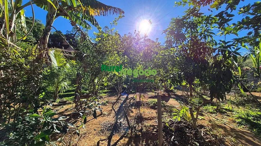 CHÁCARA FORMADA COM POMAR Á VENDA EM PIQUETE-SP - Foto 5