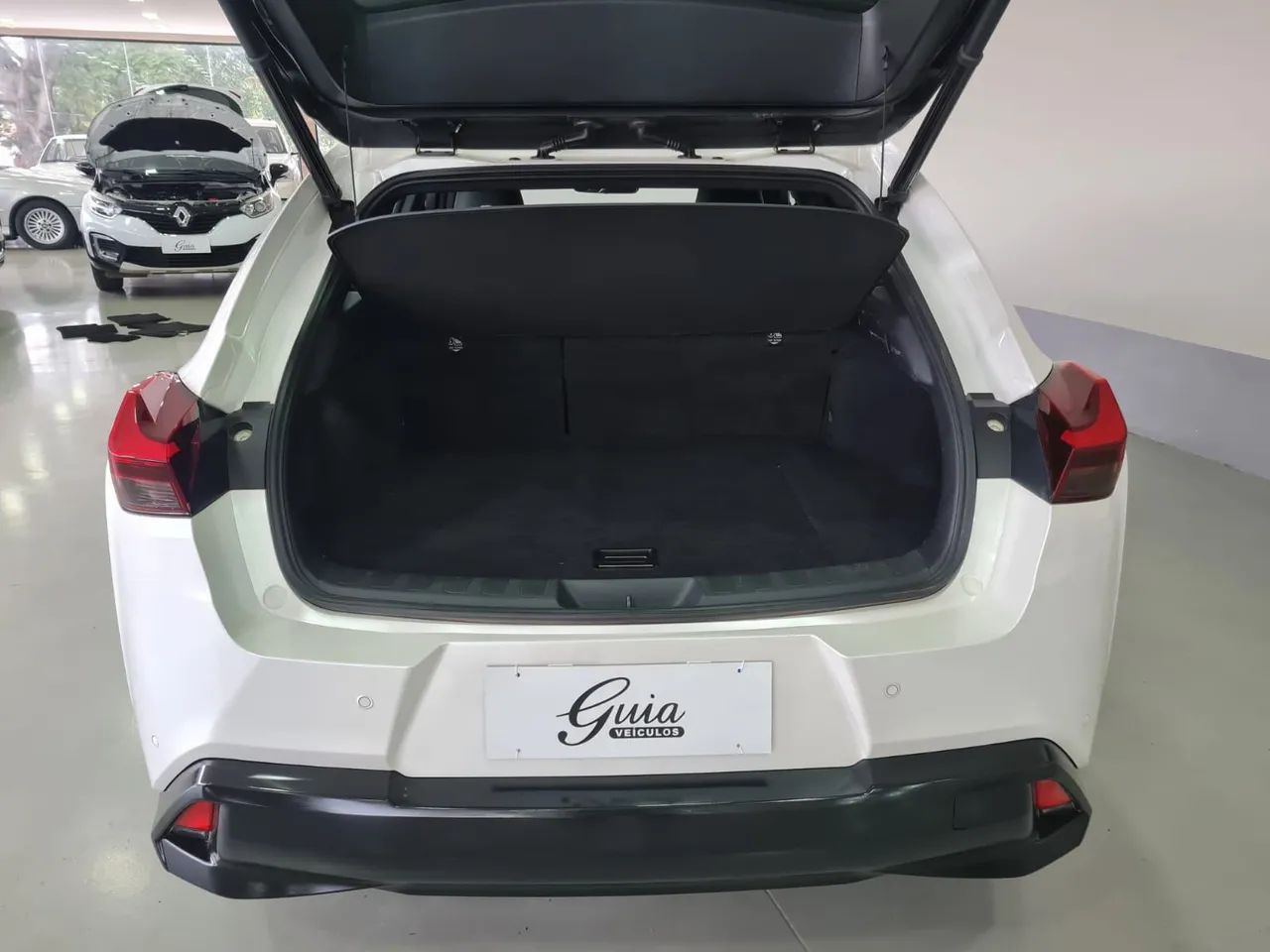 Lexus UX-250h Luxury 2.0 16V Aut.(hybrid), foto 16 de 20