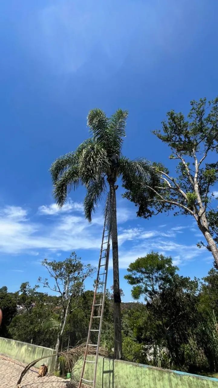 Chácara com piscina a venda - Foto 4