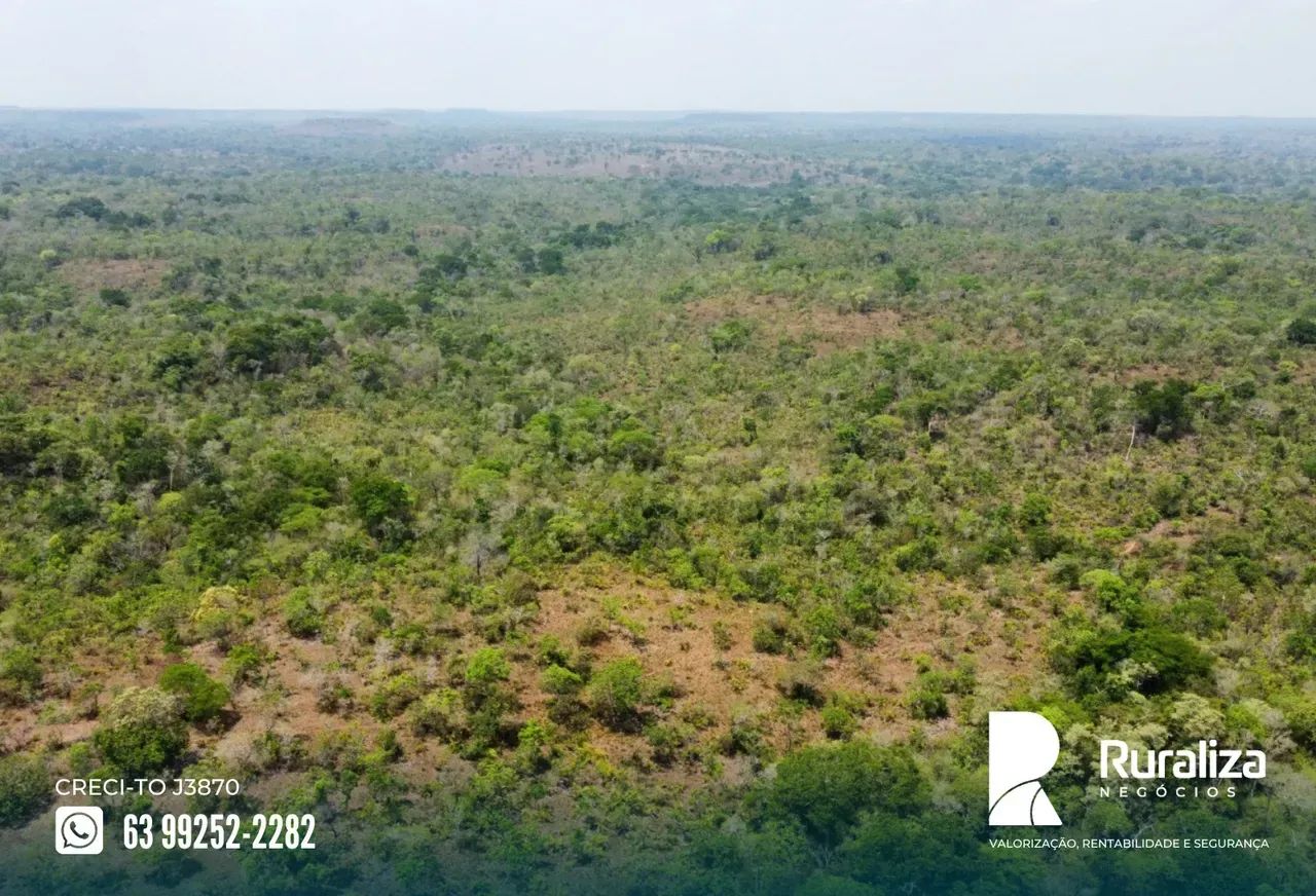 ÁREA BRUTA COM 270 HA DE POTENCIAL AGRÍCOLA | NASCENTES E CÓRREGOS - Foto 4