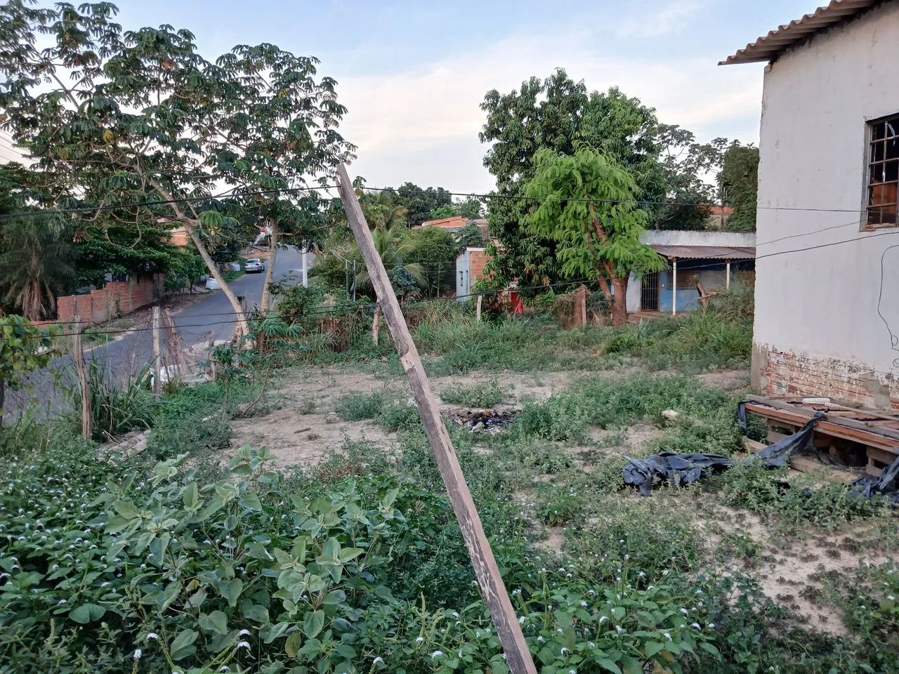 Lote - Foto 3