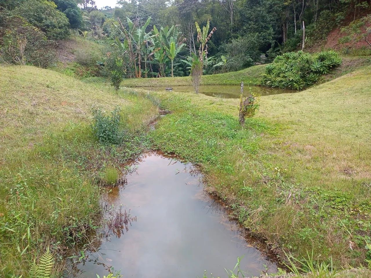 Chácara marechal floriano 10 mil metros  - Foto 5