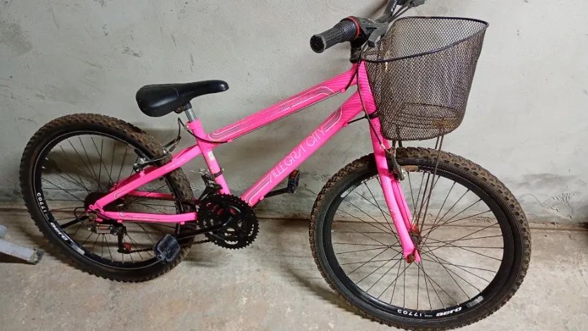 Bike aro 24