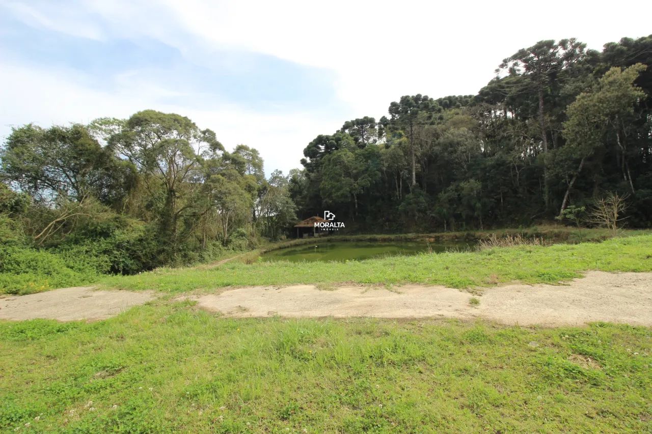 Chácara com 21.000m² na Murici