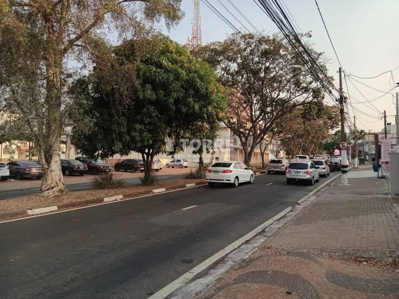 terreno - Jardim Chapadão - Campinas - Foto 3
