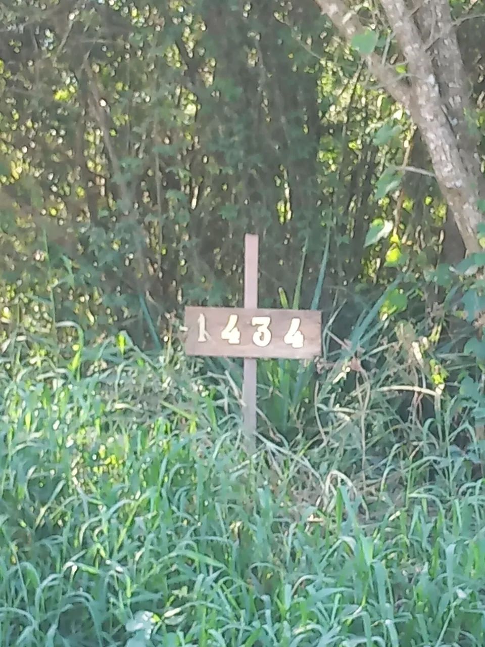 Vendo terreno no Sítio São Marcos 