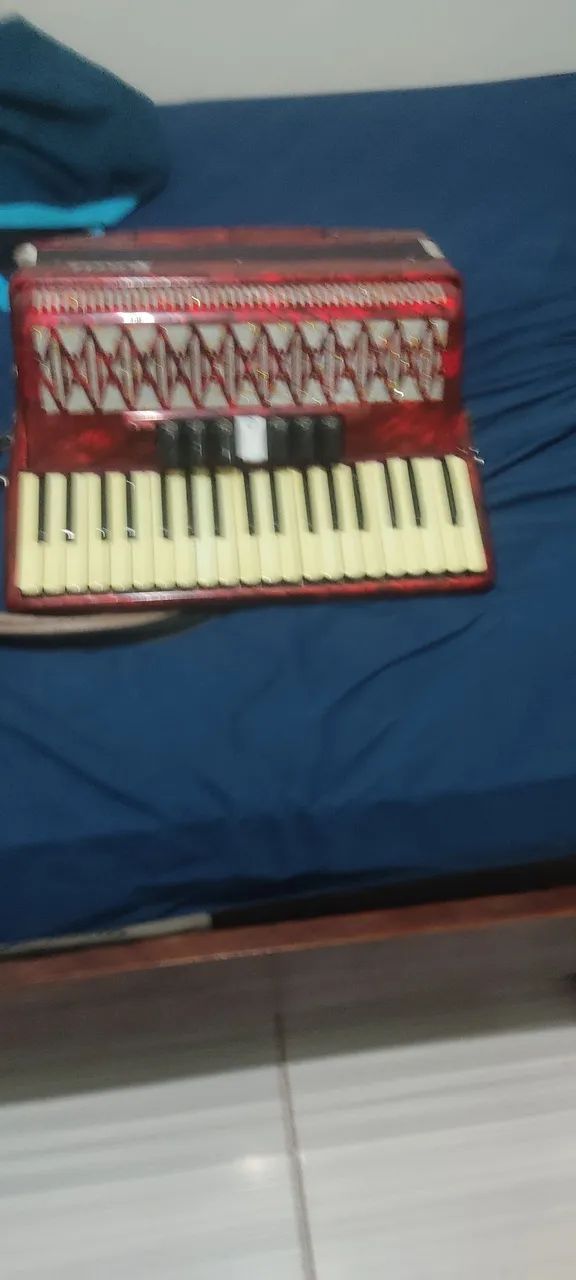 Acordeon sonelli 120 bx - Foto 5