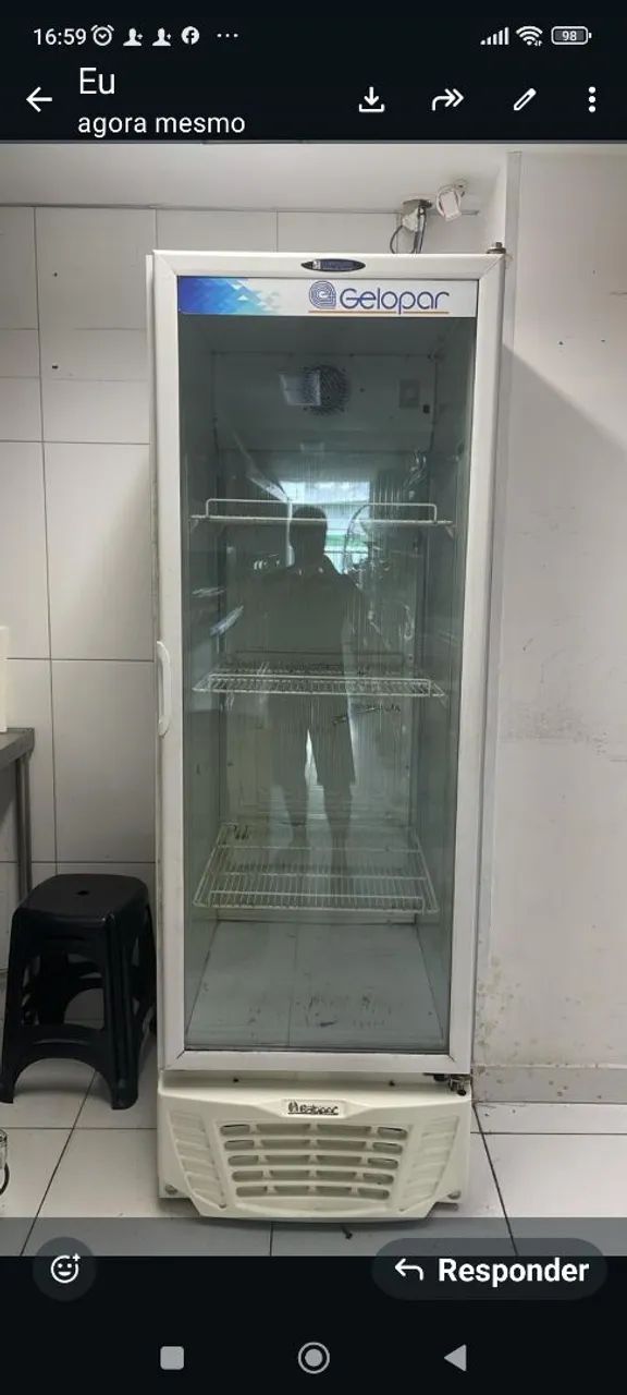 Expositor geladeira gelopar 570l