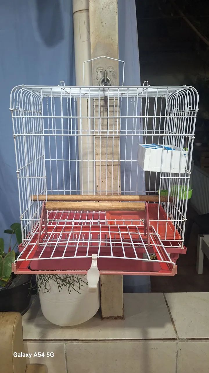 Gaiola - Foto 2