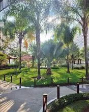 Foto - Rio de Janeiro - Barra da Tijuca